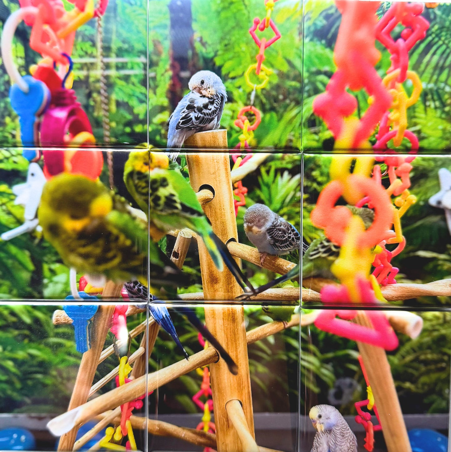 9 Piece Photo Puzzle Magnets